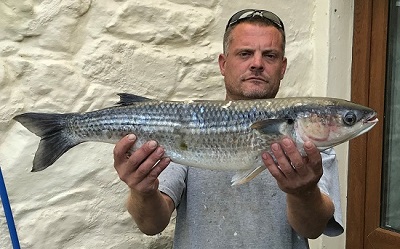 Gary Marquis’s shore-caught Thin-lipped Grey Mullet