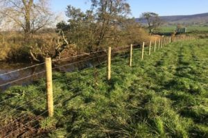 Fencing a river in Cumbria to prevent cattle poaching and improve the riparian and marginal habitat for fish