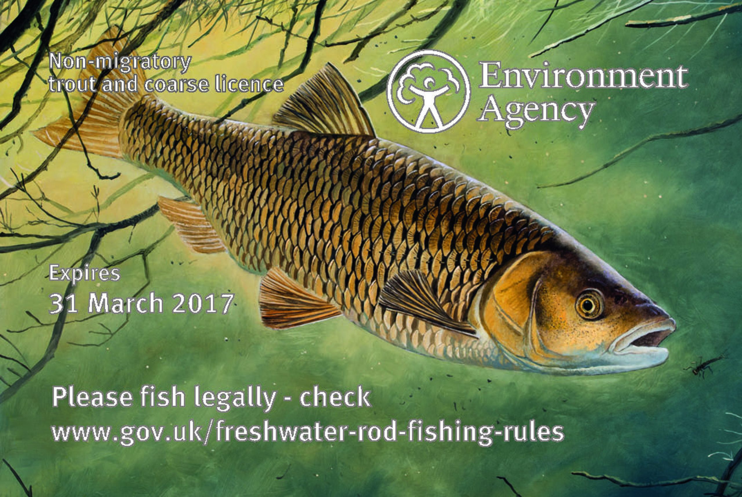 What sort of Fishing Licence Do I Need ? Angling Trust