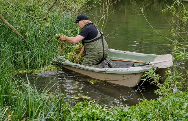 Launch of new national campaign to control highly invasive floating ...