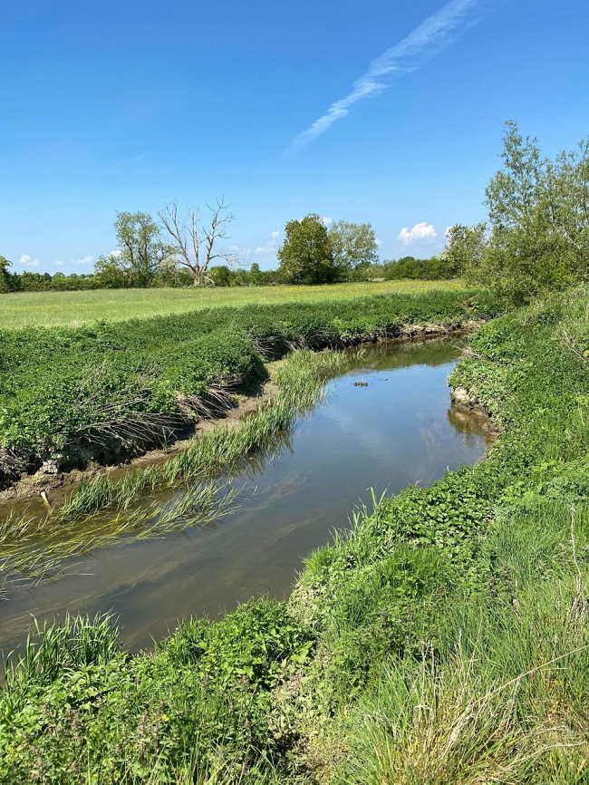 Action demanded over River Ray pollution - Angling Trust