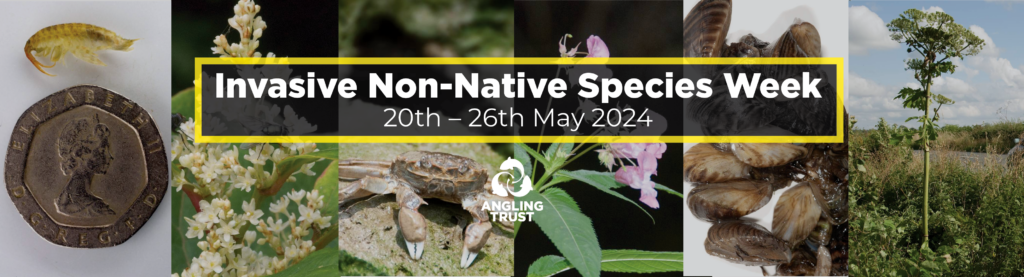 We’re Supporting Invasive Non-Native Species Week – And You Can Too ...