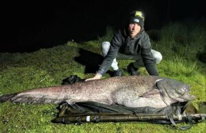 Eel breaks British record after 46 years - Angling Trust
