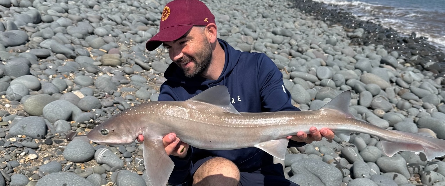 Get Fishing | Sea featured