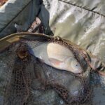 Get Fishing | ACI 10