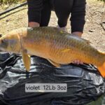 Get Fishing | ACI 16