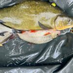 Get Fishing | ACI 21
