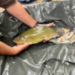 Get Fishing | ACI 3
